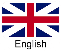 flag-language icon English