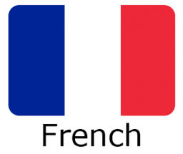 flag-language icon French